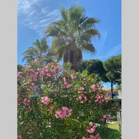 아파트 Studio Cabine 4 Pers. Cap D'Agde Quartier Pinede Avec Piscine 아그
